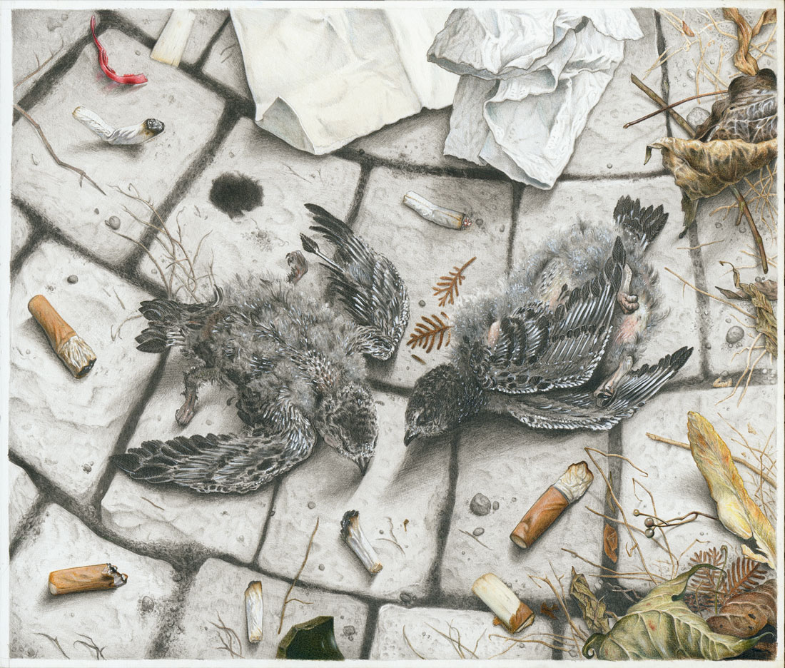 "Zwei tote Taubenküken", Bleistift-Buntstift-auf-Papier, 30 cm x 25 cm, 2016